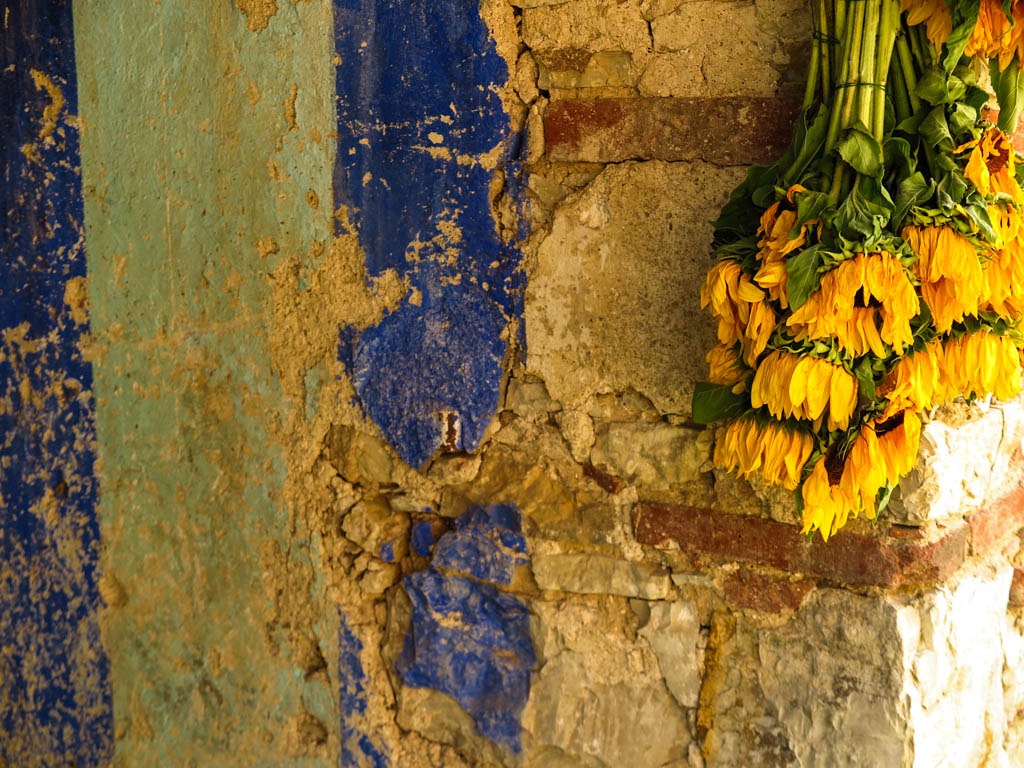 Slow Flowers Italy-23