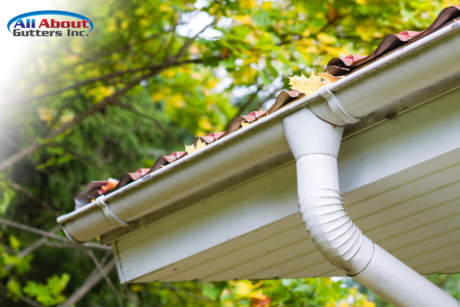 Cleaning and Maintenance Of Gutters