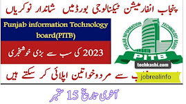 Punjab Information Technology Board PITB Jobs 2023