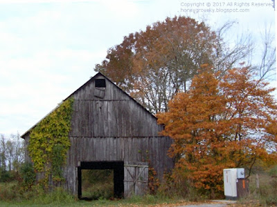 Tobacco barn