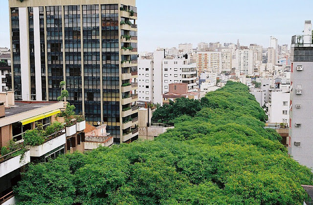 Street in Porto Alegre