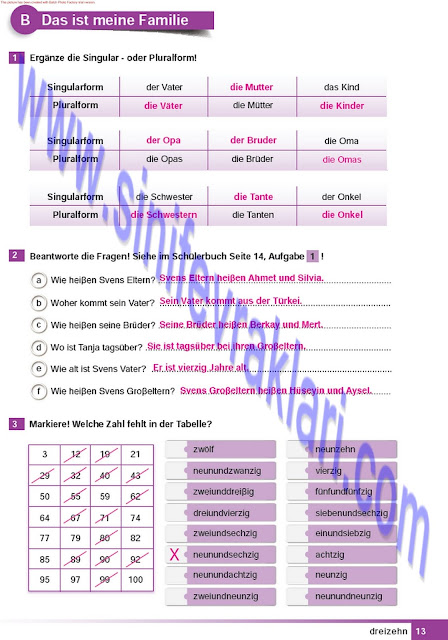 Almanca A1.2 Çıpa Yayınları Çalışma Kitabı Cevapları Sayfa 13