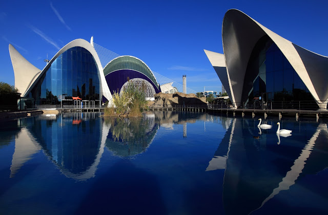 Ciudad de las Artes y las Ciencias de Valencia.