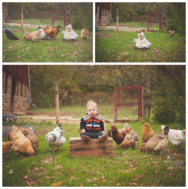 little boy with chickens