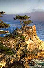 The Lone Cypress, 17-Mile-Drive, California