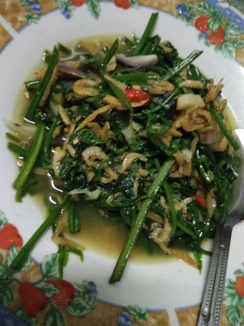 Pucuk Paku Tumis Udang Kering