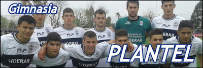 http://divisionreserva.blogspot.com.ar/2016/01/gimnasia-plantel-2015.html