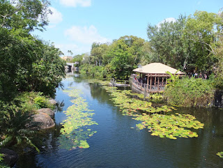 Disney's Animal Kingdom Lake