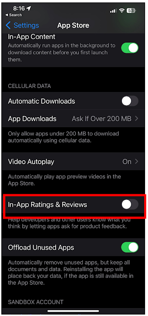 iPhone App Store Settings