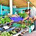 Excelentes ventas en las dos ferias paipperas