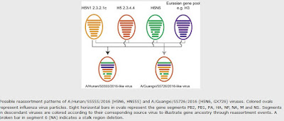 http://www.nature.com/emi/journal/v6/n6/fig_tab/emi201738f1.html#figure-title