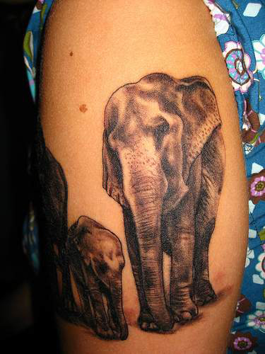 Elephant Tattoos