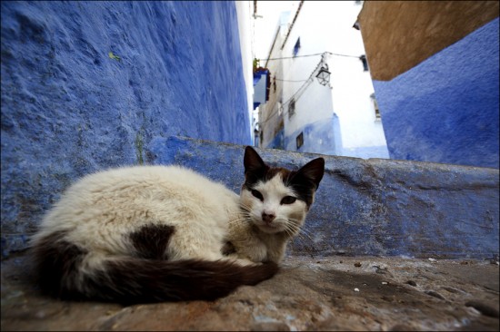 Chefchaouen � The Blue City of Morocco | Top Most Popular Tourist Destinations