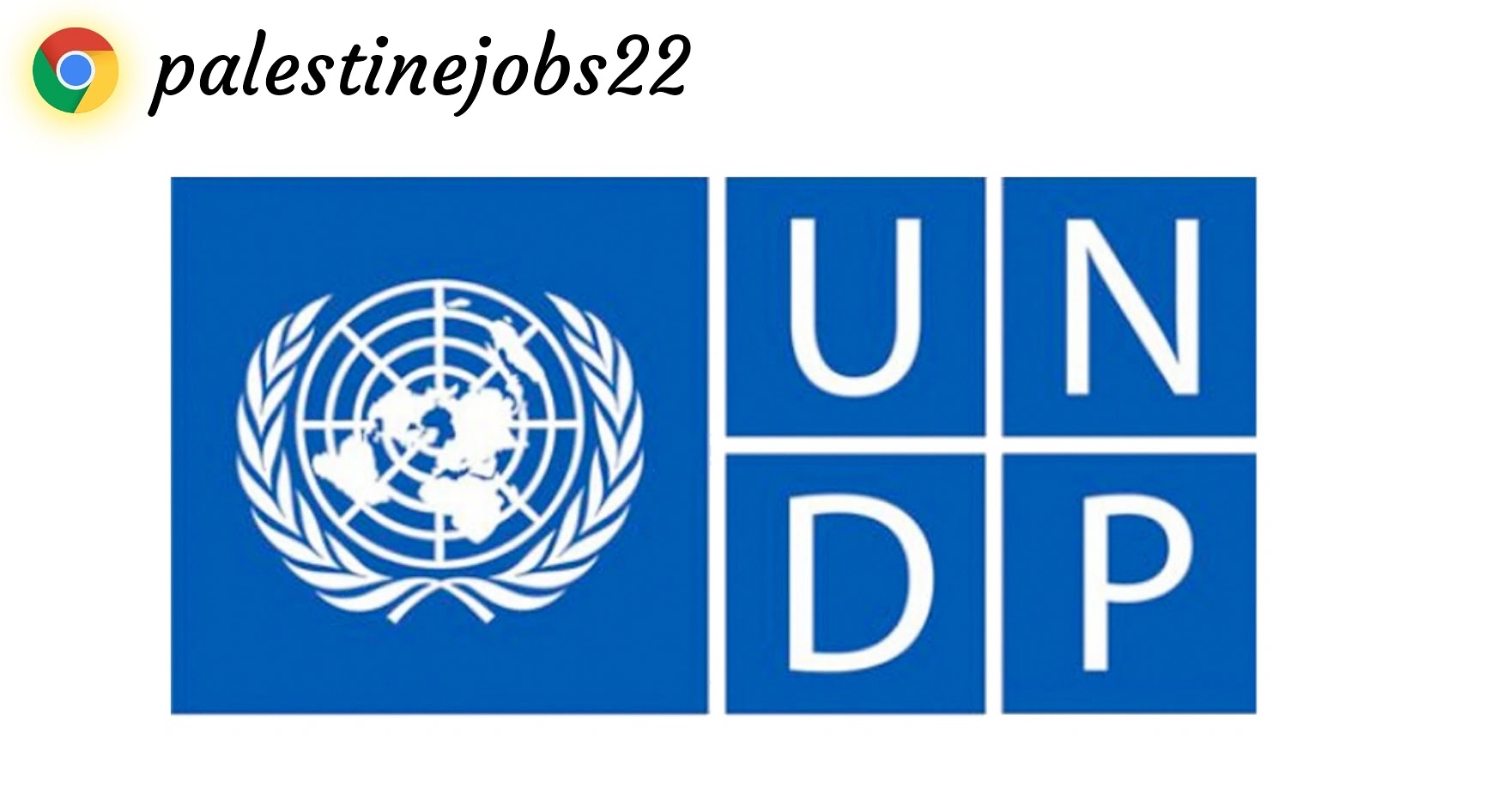 وظائف الـ UNDP الشاغرة