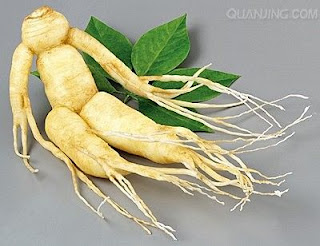 Ginseng dapat membantu menyeimbangkan kadar gula dan kaya akan asam amino dan vitamin sehingga bagus untuk mengatasi pengaruh dari alkohol