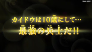 ワンピース アニメ 1076話 ONE PIECE Episode 1076