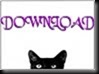 gato