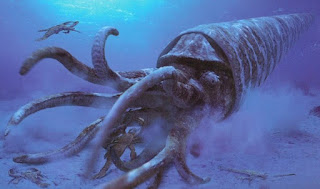 Moluscos y Artrópodos prehistóricos gigantes