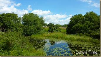 Charlestown ri_008