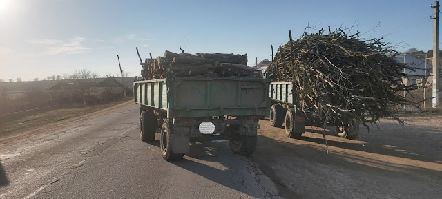 Inspectorii de mediu din Leova. Trei cazuri de taiere ilicita și un caz de transportare a masei lemnoase fără acte legale de proveniență.