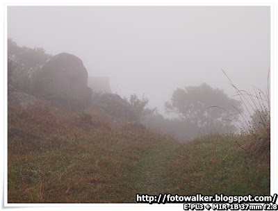 大帽山 (Tai Mo Shan)