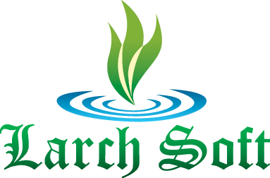 Larch Soft- Website Development Company