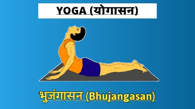 YOGA SESSION: अपनी क्षमता के अनुसार करें सूर्य नमस्‍कार, जानें अभ्‍यास का  सही तरीका - health news yoga session with savita yadav benefits of surya  namaskar know how to do it pra