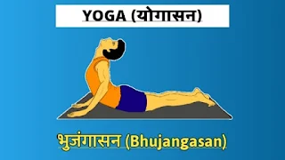 Bhujangasana-भुजंगासन-योग