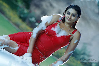 Red Hot Namitha in a bubble bath