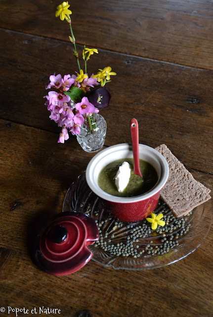 Soupe de fanes de radis aux lentilles ©Popote et Nature