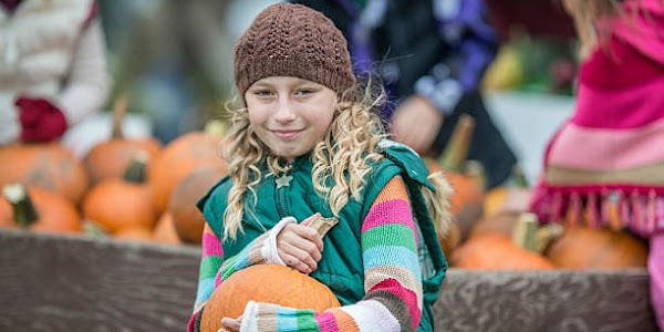 Sweet Pumpkin is a delicious memory-boosting vegetable