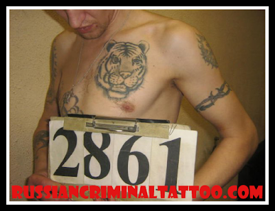 Tiger-tattoo