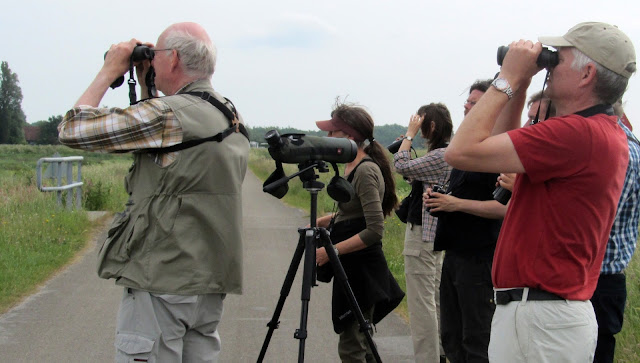 bird watchers