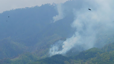 Kebakaran Hutan di Lereng Gunung   Semeru