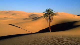 Desert Wallpaper