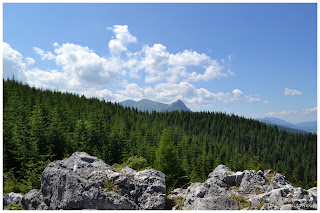 Widoki z Kopieńca Wielkiego, panorama z Kopieńca