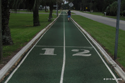 Dasher's Walking Track