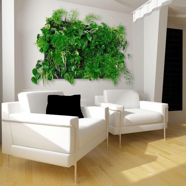 living room decor ideas with plants