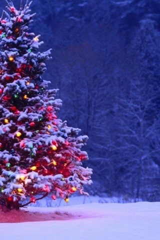 New HD Wallpapper New Hd i-phone wallpaper 1080p Christmas tree