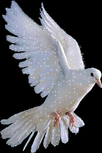 .com/img/b/R29vZ2xl/AVvXsEhz4IKbsLURJoP5wXKTKs5ngxCjGP7-qis-GZVMRlbVup-fIrtUE_ObOd708fNvcRoGY6vbLYikN_3BOB-71UCLNRHqg-e0jf-ejpsFcCfODcx9LspkHgA21hoQgV2EmVUhfcDKn86wqOgL/