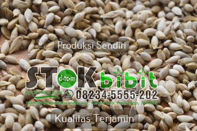 cara pakai jeruk nipis untuk jerawat cara membuat jus jeruk nipis |         Menggunakan Baking soda adalah salah satu cara menghilangkan ketombe dengan jeruk nipis Perasan...
