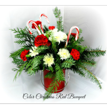 Order the Color Christmas Red Bouquet Today for your loved one