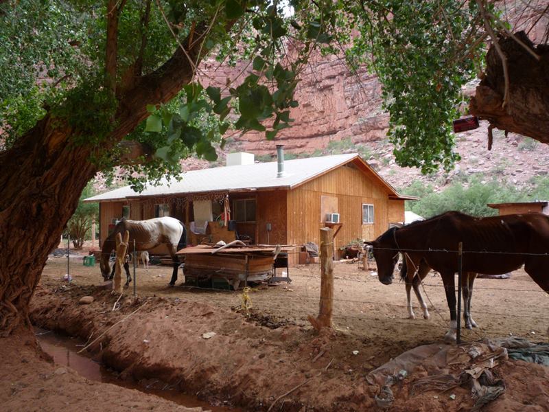 The Native Indians Village Supai, The American Indian Tribes of Arizona