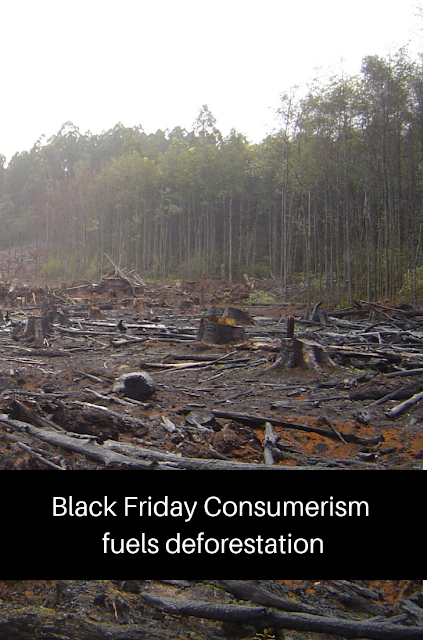 The link between shopping and deforestation