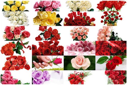 Imágenes de flores para el Día de las Madres (recopilación) Más de 100 imágenes gratuitas