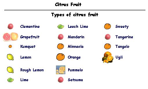 Types of citrus fruits