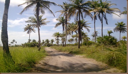 Imagem246