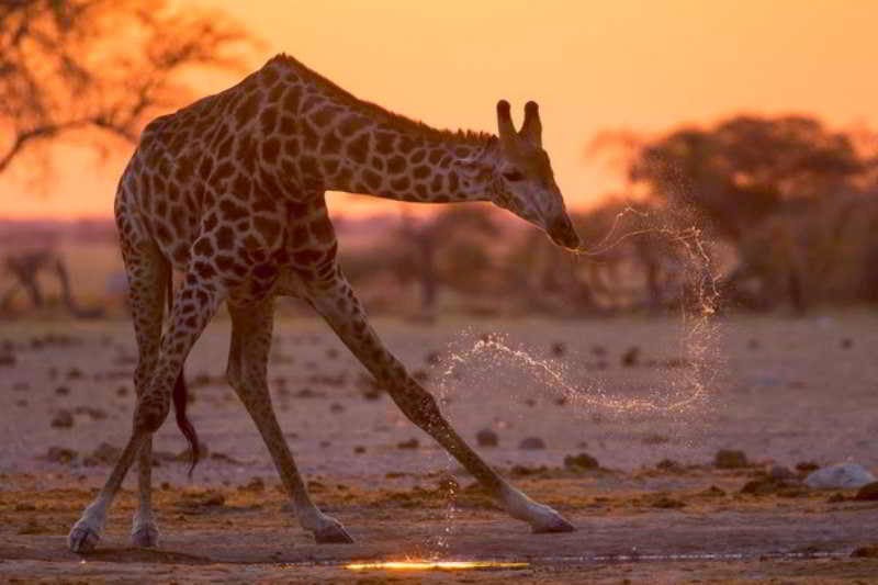 nationalgeographic-photo-contest-2014-18