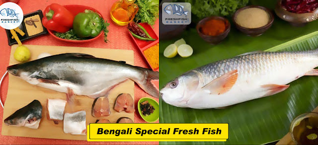 Bengal Special Fish