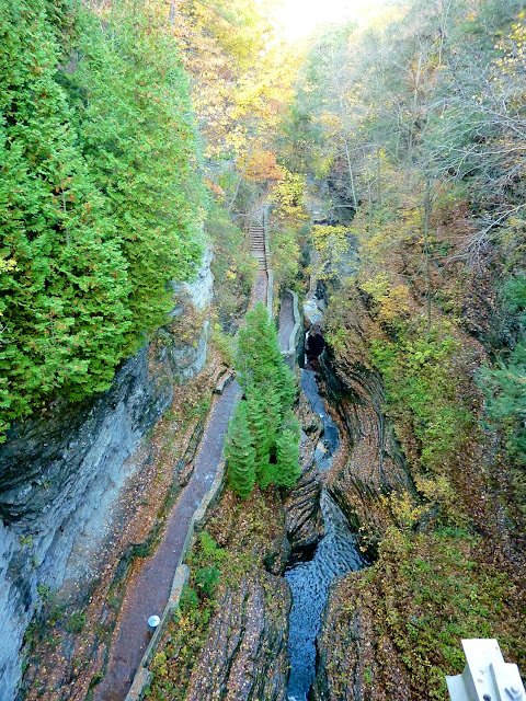 Vista aérea del Gorge Trail en Watkins Trail